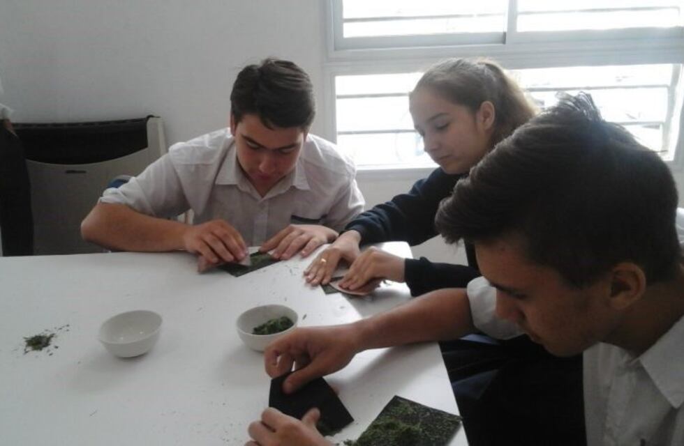 Estudiantes de Gualeguaychú demuestran que se puede hacer papel sin talar un solo árbol