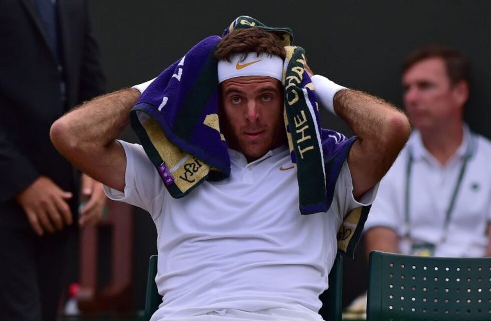 El partido de Juan Martín Del Potro fue suspendido por falta de luz