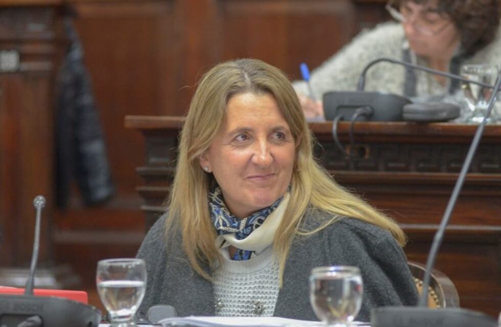 Najul prometió que las pensiones por discapacidad serán devueltas antes del jueves