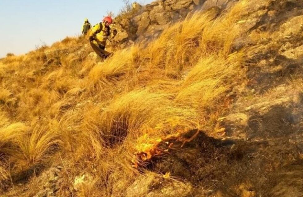 Se quemaron más de 1300 hectáreas en el cerro El Gracián