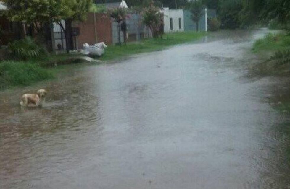 Fuerte temporal de viento y lluvia con varios barrios anegados