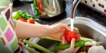 Ushuaia: participantes del curso “Manipulación de alimentos” recibieron certificados