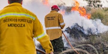 Incendios Forestales en Mendoza