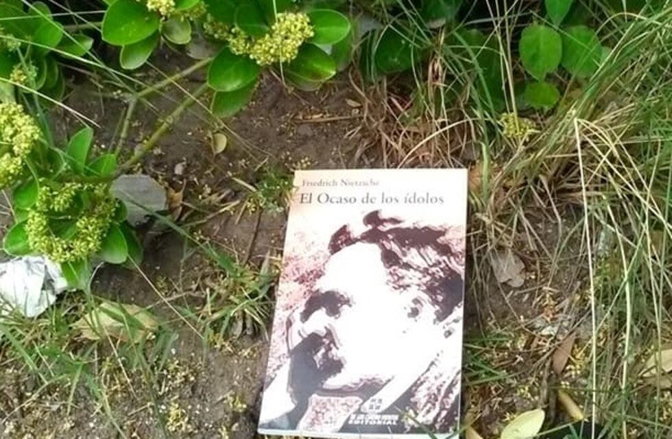 Punta Alta siembra libros