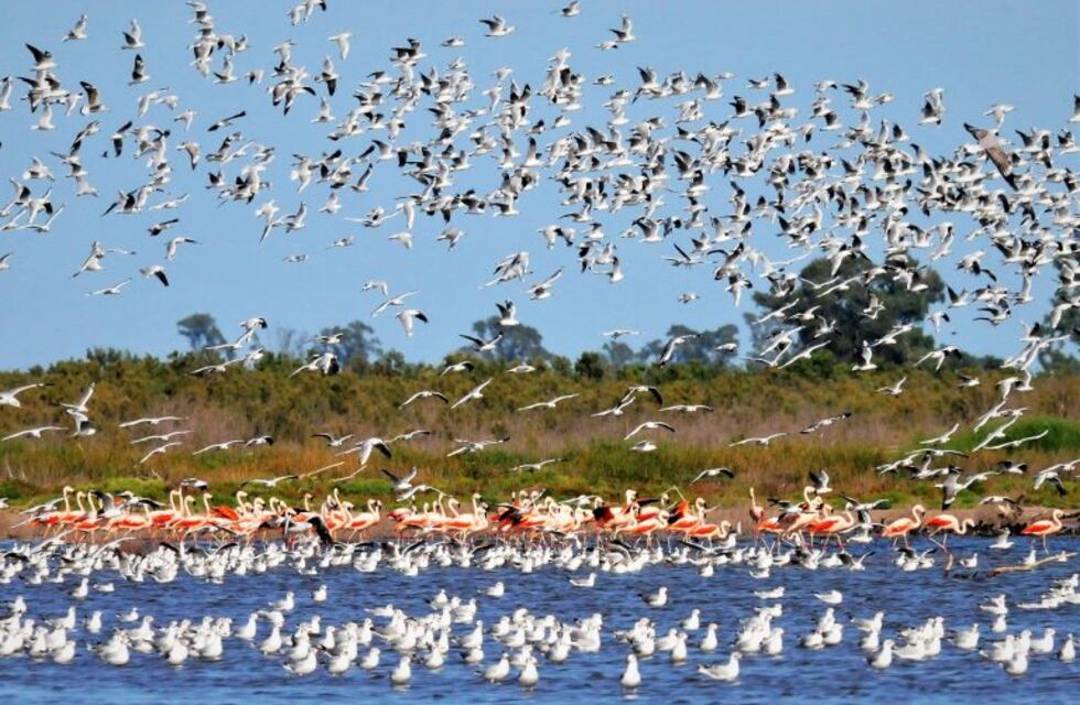 La región de Ansenuza recibe la primavera con buen tiempo
