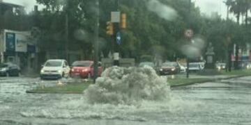 En Rosario ponderaron el ru00e1pido escurrimiento que dejaron las lluvias.