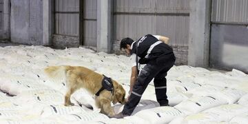 Piden 16 años a integrantes de la banda de narco arroz