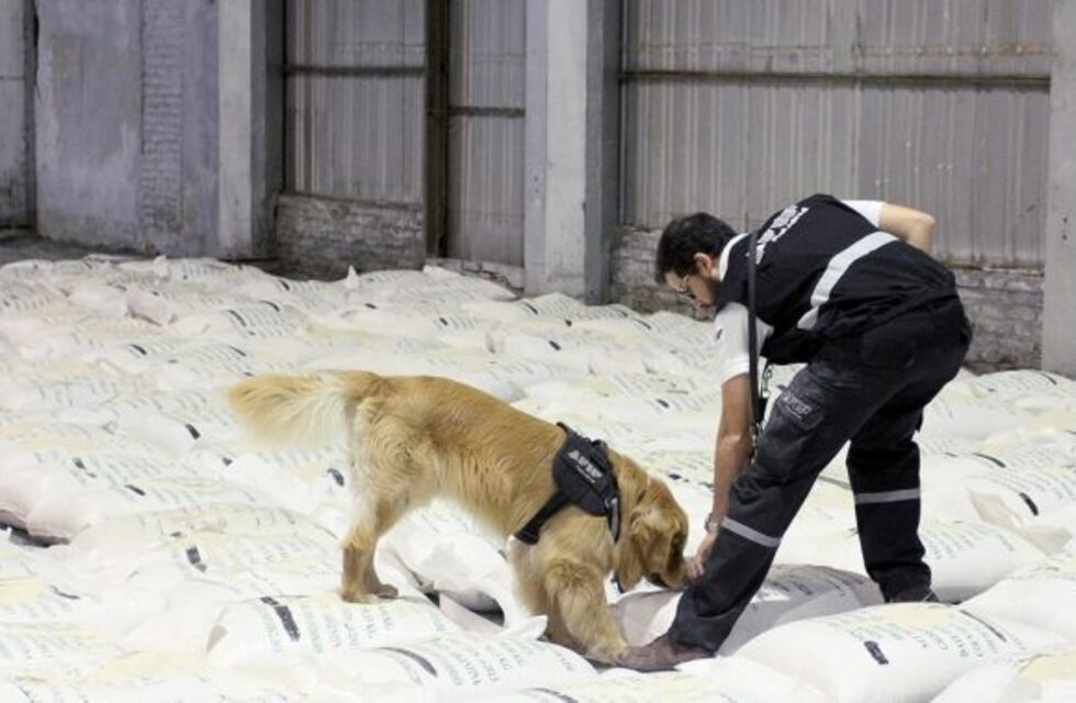Piden penas de 16 años para 17 acusados de integrar la banda del "narco-arroz"