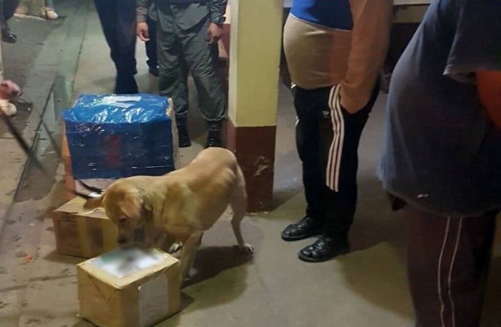 Descubrieron marihuana enviada a Rosario en un pote de dulce de leche