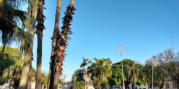 Cielo despejado en Corrientes\u002E