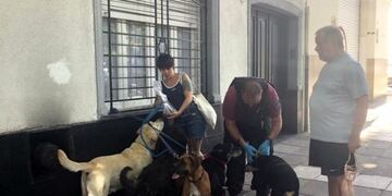 Paseador de perros tuvo muerte súbita (Foto:MinutoUNO)