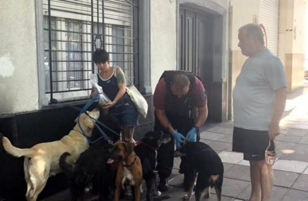 Un grupo de perros quedó abandonado porque su paseador tuvo muerte súbita