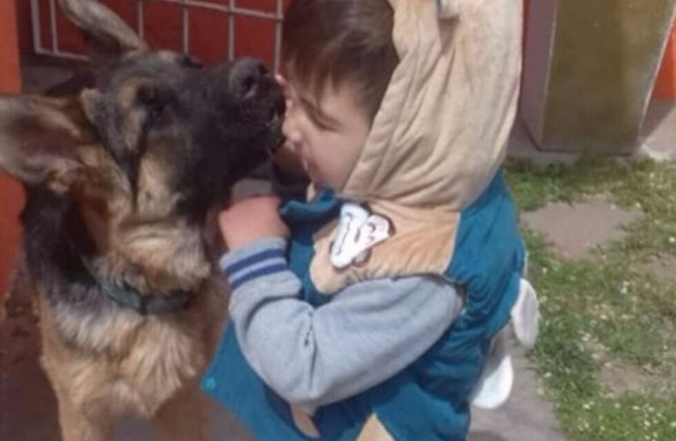 Final feliz: después de días de búsqueda, encontraron al perro lazarillo de un nene de 2 años