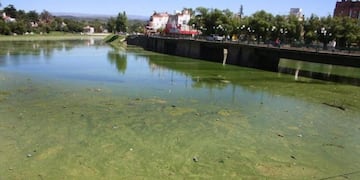 Contaminación lago San Roque