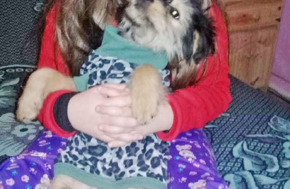 Marina Bressan insiste para que la Justicia le restituya a su hija