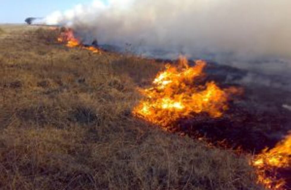 Incendio forestal: hay 46 mil hectáreas en llamas en La Paz y Santa Rosa