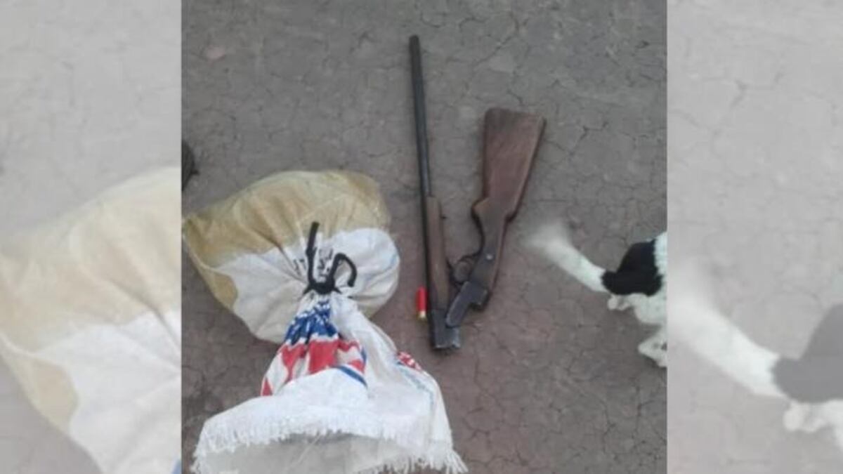 Quien realizó la denuncia fue el Guardiaparque\u002E