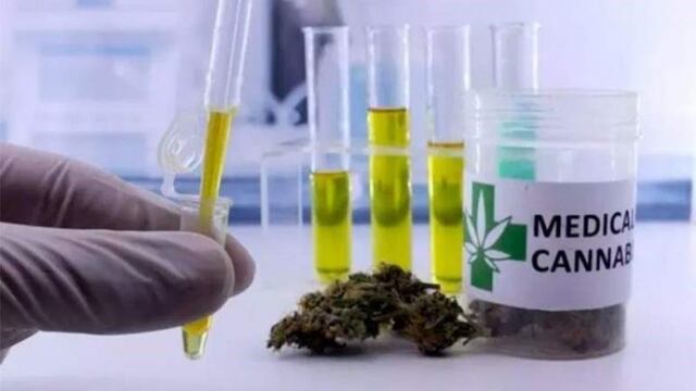 Los pedidos para que el LIF produzca el aceite de cannabis se han multiplicado con el paso del tiempo\u002E(Archivo)