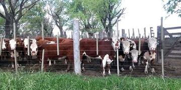 Son aportes no reintegrables de la cartera productiva por una suma total de 800 mil pesos\u002E