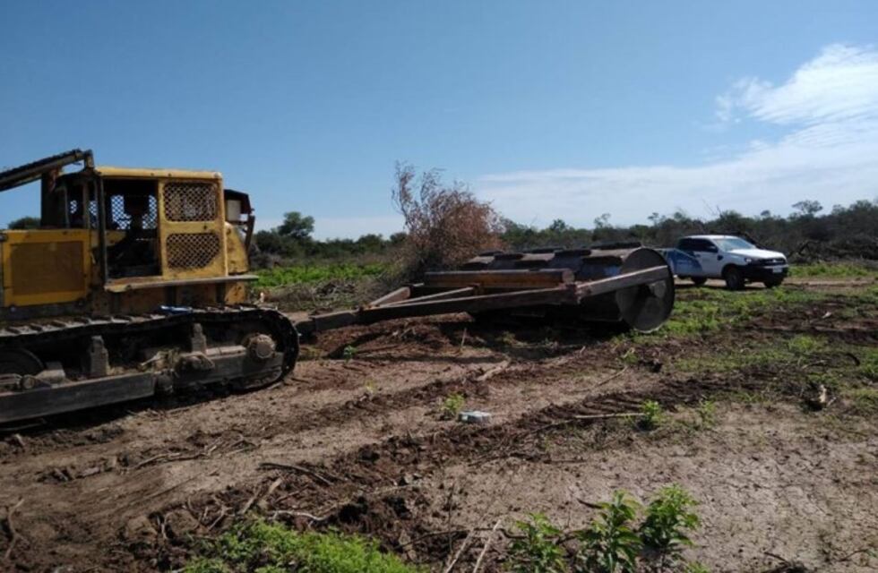 Frenaron un desmonte ilegal en Pampa del Infierno