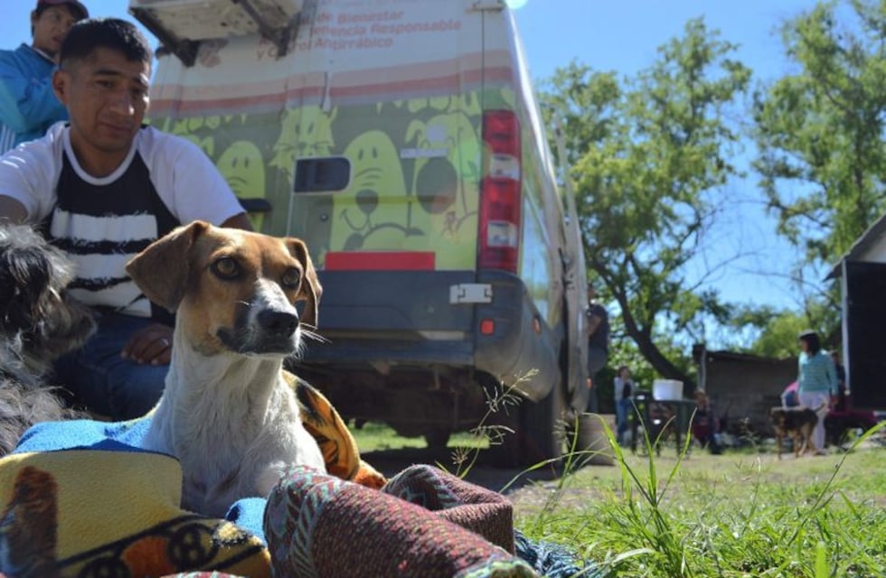 El móvil de castración de mascotas seguirá visitando los barrios