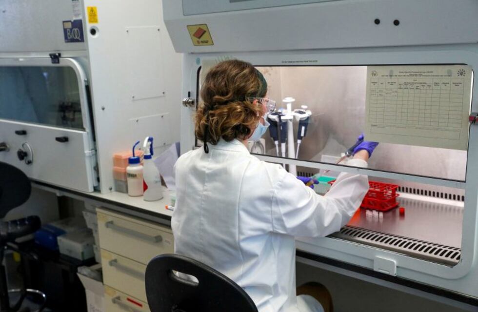 Aseguran que la vacuna de Oxford podría estar lista a fin de año pese al freno en los ensayos