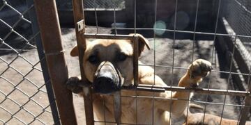 Refugio Matías Nicolás Mancilla\u002E (Municipalidad de Salta)