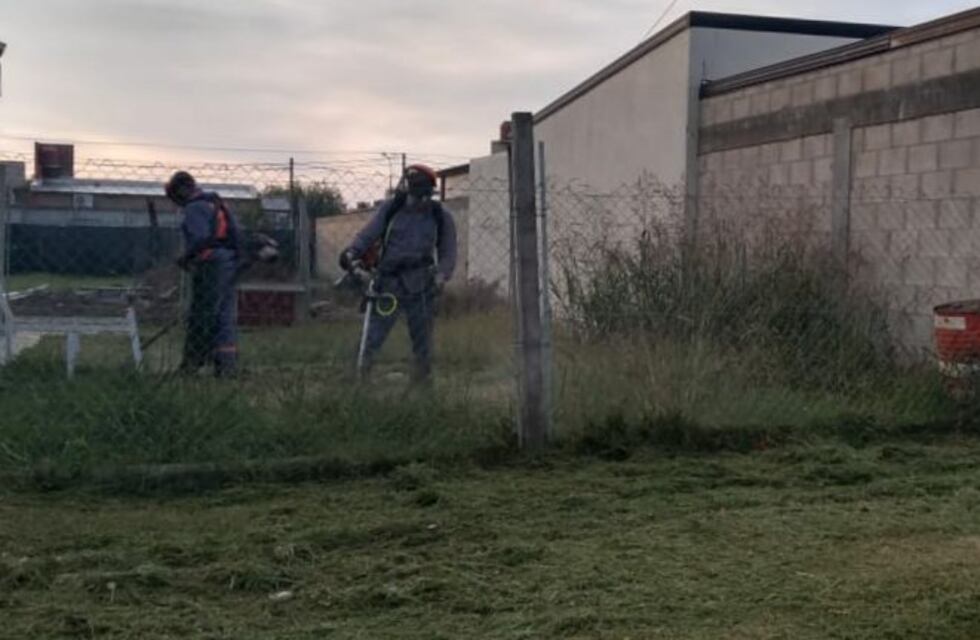 Más denuncias y allanamientos por césped alto