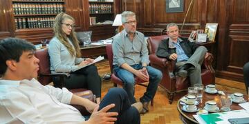 Estrategias para introducir la turba en el mercado Brasilero