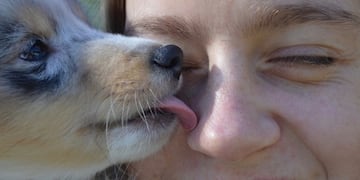 Perros, gatos y otras mascotas... ¿Cuál es la más compatible con cada signo del zodiaco? (Foto: Ilustrativa/Web)