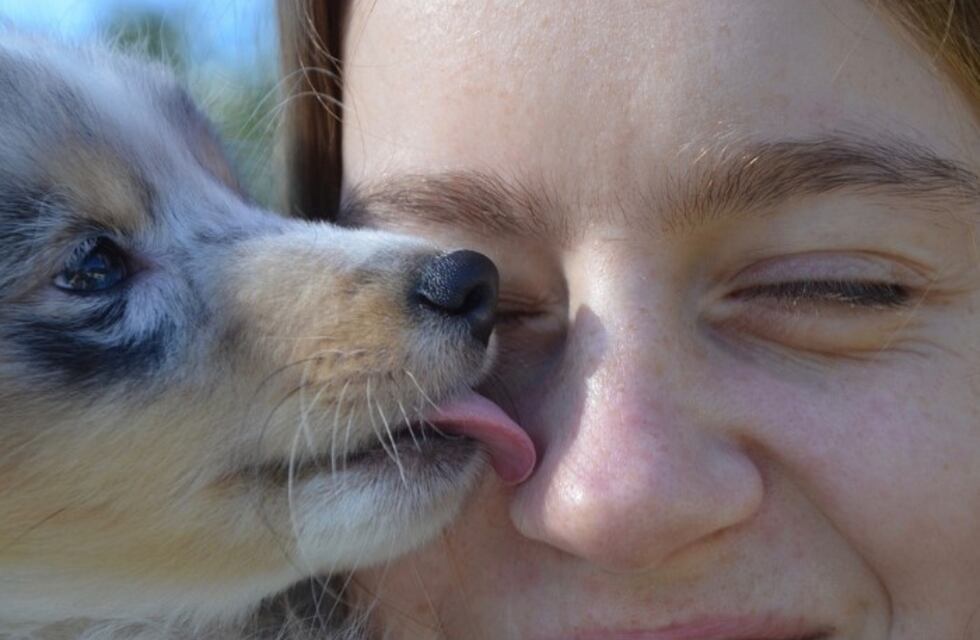 Monte Cristo celebra el día del Animal, con su tradicional Desfile de Mascotas