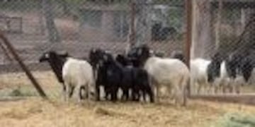 Foto:Prensa de Gobienro