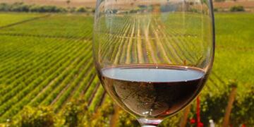 El interu00e9s asiu00e1tico en productos mendocinos se evidenciu00f3 tambiu00e9n con la presencia de diecisiete importadores chinos.