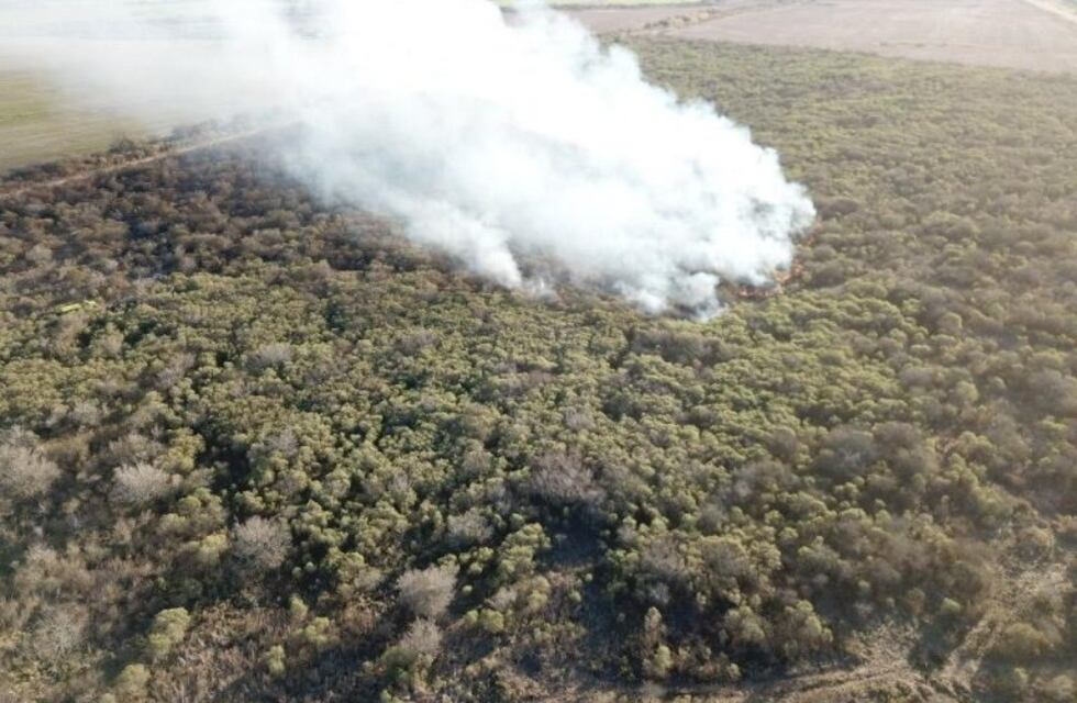 Se declaró la emergencia ambiental en Entre Ríos por los incendios en el Delta