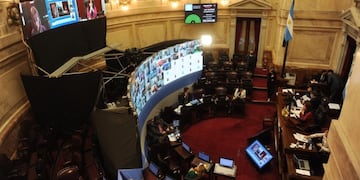 El Senado sesiona de forma virtual por primera vez en la historia\u002E (Federico López Claro)