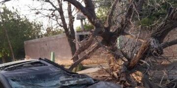 Los daños que dejó el viento Sur\u002E