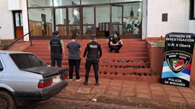 Oberá: sustrajo cables de electricidad de la CELO y terminó detenido.