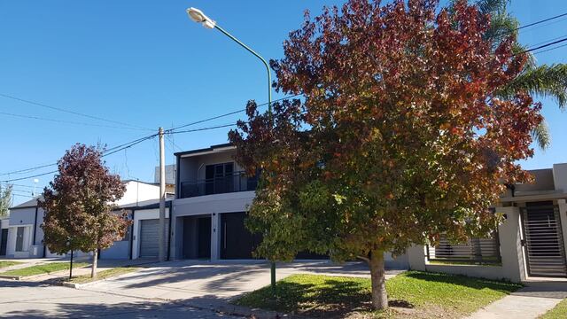Arbolado público de Rafaela