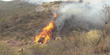 ¿Cómo contribuir en la recuperación de las zonas afectadas por los incendios en Carlos Paz?
