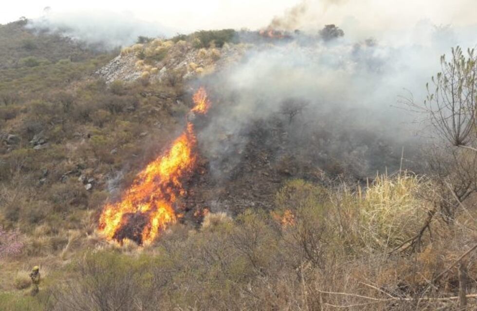 ¿Cómo contribuir en la recuperación de las zonas afectadas por los incendios en Carlos Paz?