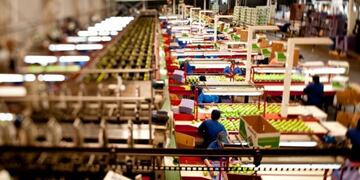 Una exportadora frutícola de Río Negro presentó concurso de acreedores por deuda de 166 millones