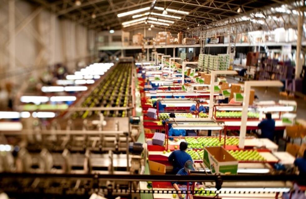 Una empresa frutícola de Río Negro presentó concurso de acreedores por deuda de 166 millones