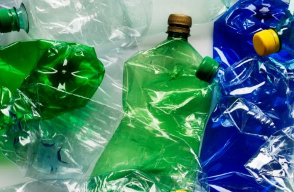 Escuelas Verdes: una competencia maipucina que busca generar conciencia ambiental en los estudiantes