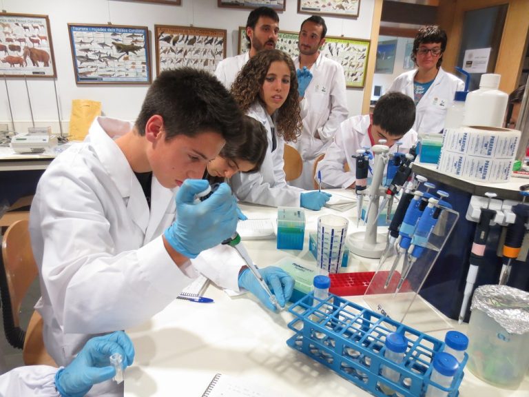 "Manos a la Ciencia": participan más de 1.300 alumnos puntanos