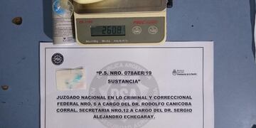 Mulas en Tierra del Fuego