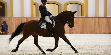 Mauricio González Calderón, el equitador chileno que quedó marginado de los Juegos Panamericanos Lima 2019 por doping positivo de marihuana\u002E (Web)