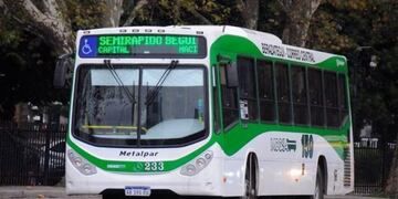 Paro en líneas de colectivos