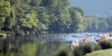 Santa Rosa en verano