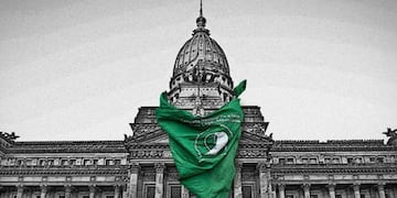 Audiencias en el Congreso de la Nación por el proyecto de ley sobre la IVE