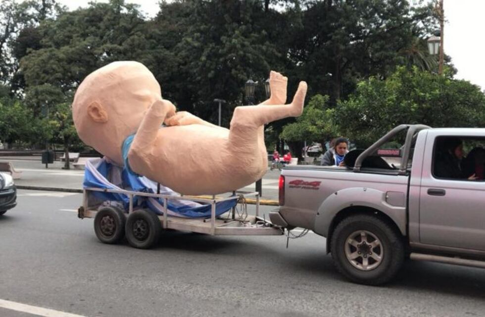 Marcha por la Vida: estará presente un "bebe" gigante de 14 semanas